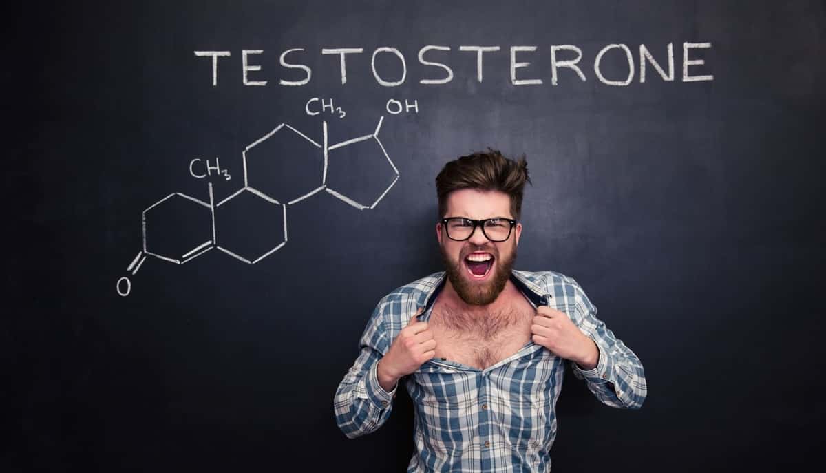 Increase testosterone