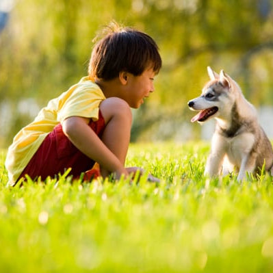 Pets and kids | 5 Amazing Benefits Of Having Pets